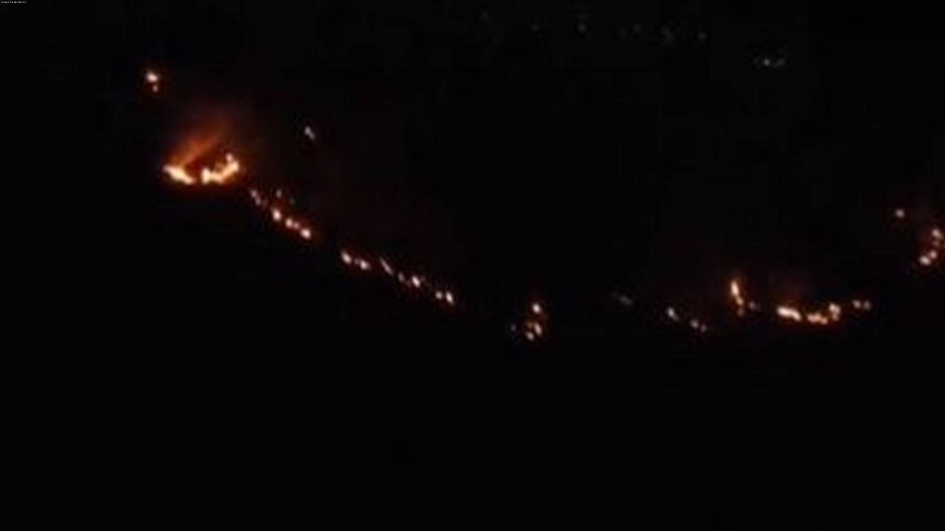 Tamil Nadu: Fire breaks out in forest of Madurai's Madakkulam
